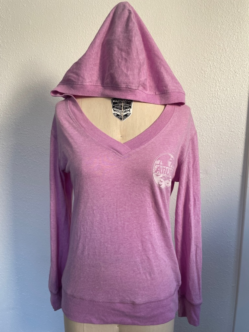 Light Pink V-Neck Aruba Hooded Long Sleeve Top